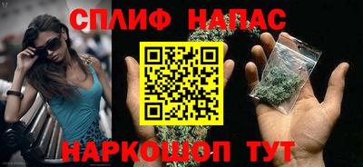 сатива Краснодар