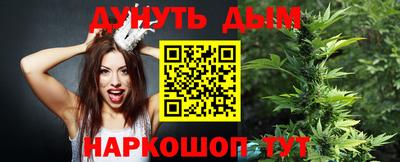 сатива Краснодар
