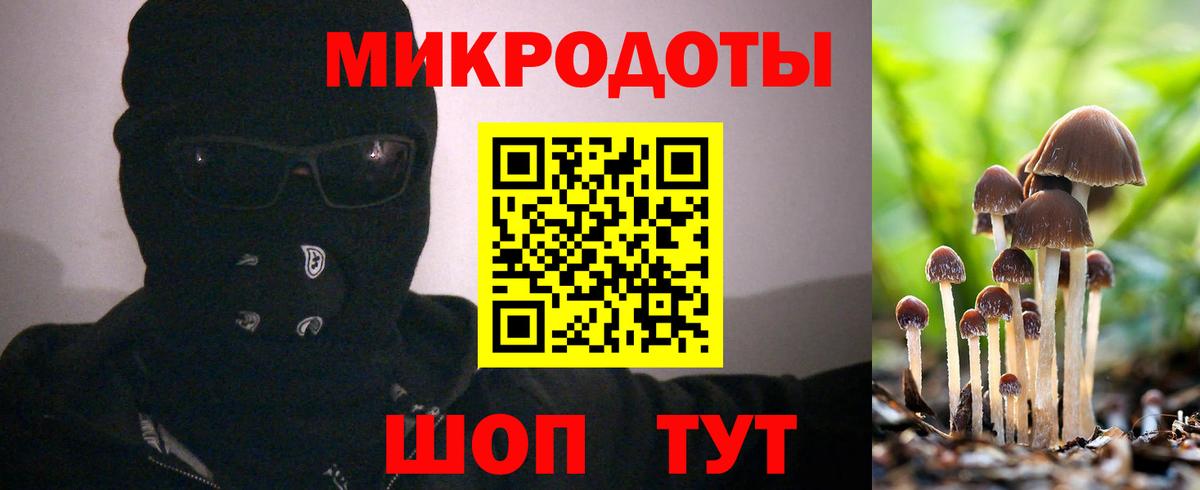 Псилоцибиновые грибы Psilocybe Кашира